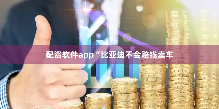 配资软件app“比亚迪不会赔钱卖车